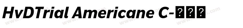 HvDTrial Americane C字体转换